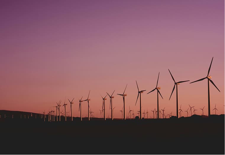 pexels-narcisa-aciko-541222-1292464 1